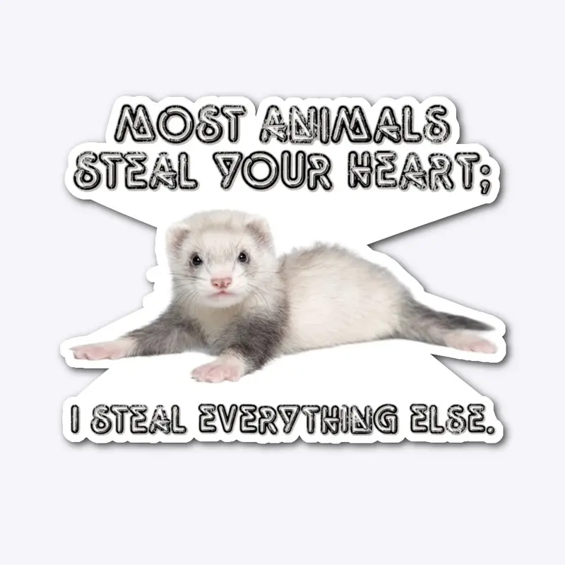 Pet Ferret Humor 